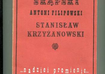 Nadziei promienie Trzy pamiętniki z XIX wieku