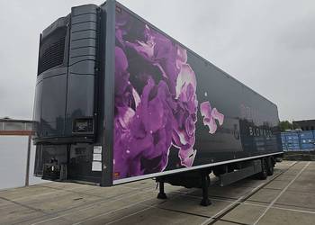 Tracon BURGERS BLOEMEN Blumen Flowers LBW! chłodnia 2018