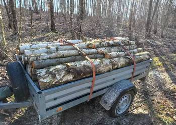 Drewno kominkowe opałowe brzoza