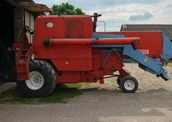 Sprzedam bizona z056 88r