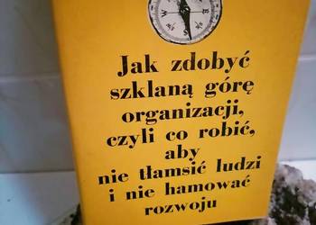Jak zdobyć szklaną górę książki pierwsze wydanie biznes okaz