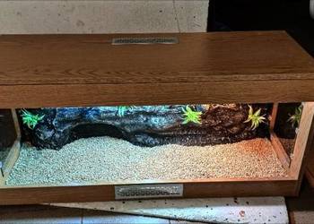 Terrarium od Egzo Systems dla żółwia greckiego gekona lamparciego