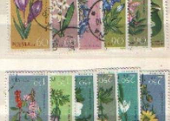 Zn. Fi 1177 - 88 kas  1962