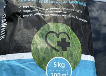 Trawa Regeneracyjna  Stylowy trawnik 5 kg