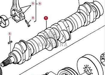 Massey Ferguson 3690 Wał Korbowy CZĘŚCI 612DS 3616828M4 Jastrzębniki