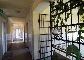 Na sprzedaż budynek biurowy pow. 540 m2 w Opolu