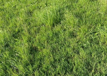 Oferta sprzedaży działki Władysławowo 500m2