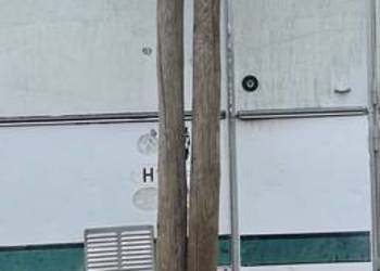 Kołki drewniane sadownicze