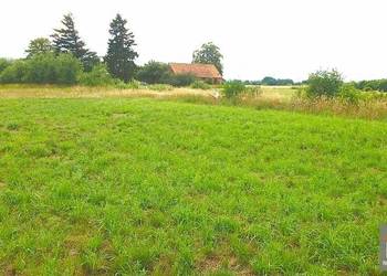Grunt Trzebieszewo 3000m2