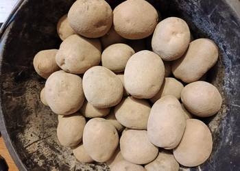 Ziemniaki sadzeniaki Bellarosa