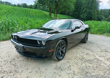 Dodge Challenger 2019r 3.6 SXT Plus Black Top Bezwypadkowy Nowa Cena