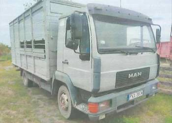 Syndyk sprzeda samochód ciężarowy marki MAN do przewozu zwierząt!