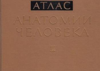 ATLAS ANATOMII CZŁOWIEKA - TOM III - SINIELNIKOW R.D.