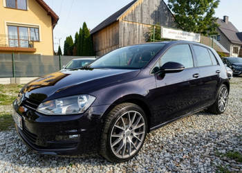 Volkswagen Golf 1,2 105KM*Park Assist*Alu 18*Navi*6 biegów* VII (2012-)