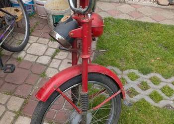 komar