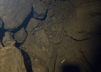 Sprzedam węgiel gruby