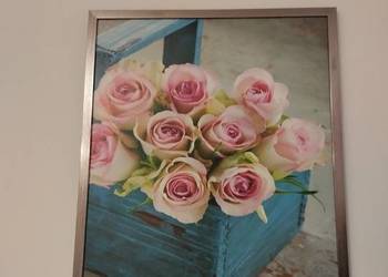 Obraz w srebrnej ramie RÓŻE 40x50