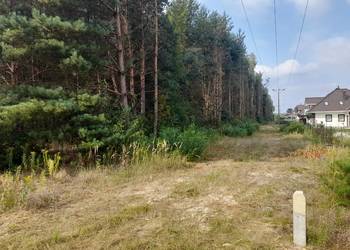 Syndyk sprzeda udziały w grunatach Jastkowice - Stalowa Wola