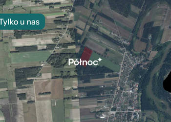 Działka leśna 4,4,7 Ha w Elżbiecinie gmina Kodeń