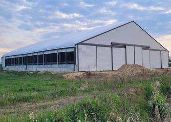 Hala namiotowa, jałownik