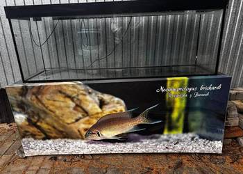 Akwarium 300 litrów Szafka Obudowa Osłona