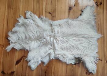 Skóra z kozy kozła