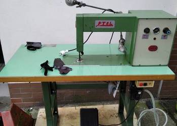 Zmarszczarka SAGITTA