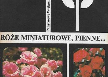 Róże miniaturowe, pienne - H. Wiśniewska- Grzeszkiewicz