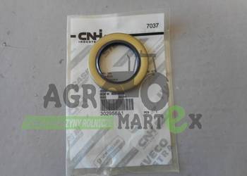 302956A1, 87776115 USZCZELKA CNH