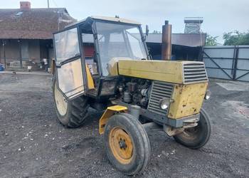 Ursus c385