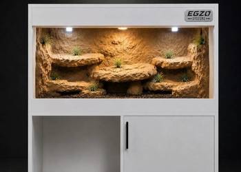 Terrarium dla żółwia greckiego gekona lamparciego