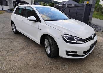 Volkswagen Golf VII 1.6 TDI 110Km
