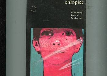 Lustrzany chłopiec - Robert Andre