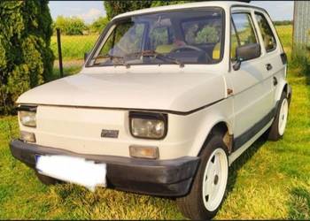 Daszki Węgierskie BAD BOY Fiat 126p