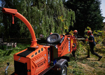 Rebak Timberwolf TW 230 HBP Benzynowy Nowy