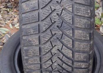 2 opony zimowe 195.50.15 semperit 6mm ładne tanie ,okazja