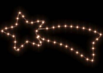 vidaXL Świąteczna dekoracja Gwiazda Betlejemska, 48 LED,(SKU:343287)