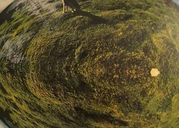 MIKE OLDFIELD- HERGEST RIDGE  1974.