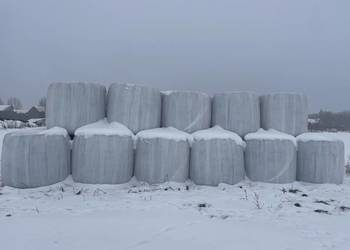 Bele sianokiszonki 3 Pokos