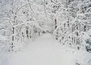KULIG Z BIESIADĄ W KARCZMIE- Wyjazd z Nowego Sącza!