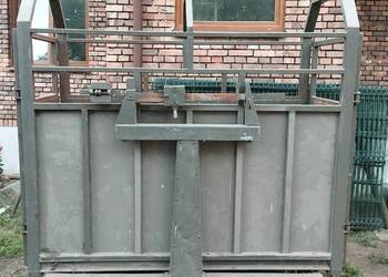Waga do warzenia bydła