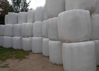 Sprzedam bele sianokiszonki