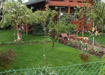 domek drewniany letniskowy na sprzedaż domek drewniany letniskowy na sprzedaż Warszawa