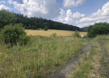 Działka Dzikowiec, Góry Sowie, Srebrna Góra, Nowa Ruda - Bez