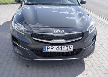 kia xceed 1.6 2022r.