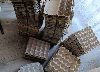 wytłaczanki pojemniki na jajka 161 sztuk