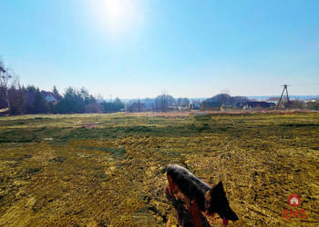 Grunt 5350m2 Nowe Aleksandrowo