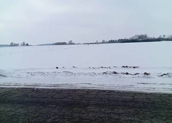 Sprzedam działkę rolną