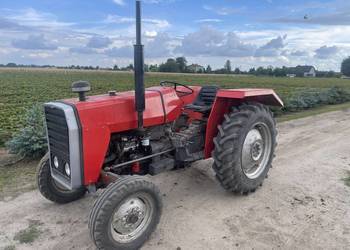 Sprzedam ciągnik Massey Ferguson 245.