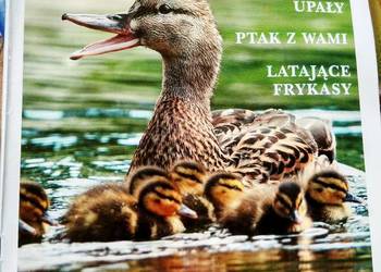 Czasopisma kolekcje księgarnie Warszawa